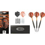 RAYMOND VAN BARNEVELD RVB BRASS STEEL TIP 22g DARTS BY TARGET