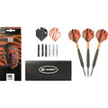 RAYMOND VAN BARNEVELD RVB BRASS STEEL TIP 22g DARTS BY TARGET
