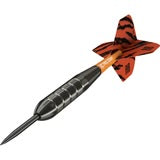 RAYMOND VAN BARNEVELD RVB BRASS STEEL TIP 22g DARTS BY TARGET